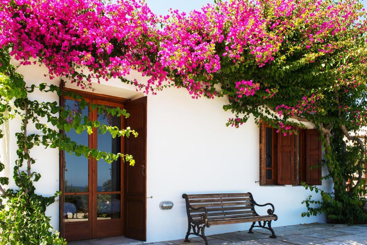 Villa Celestina, Great For Privacy And Seclusion Chrisopigi  Exterior foto